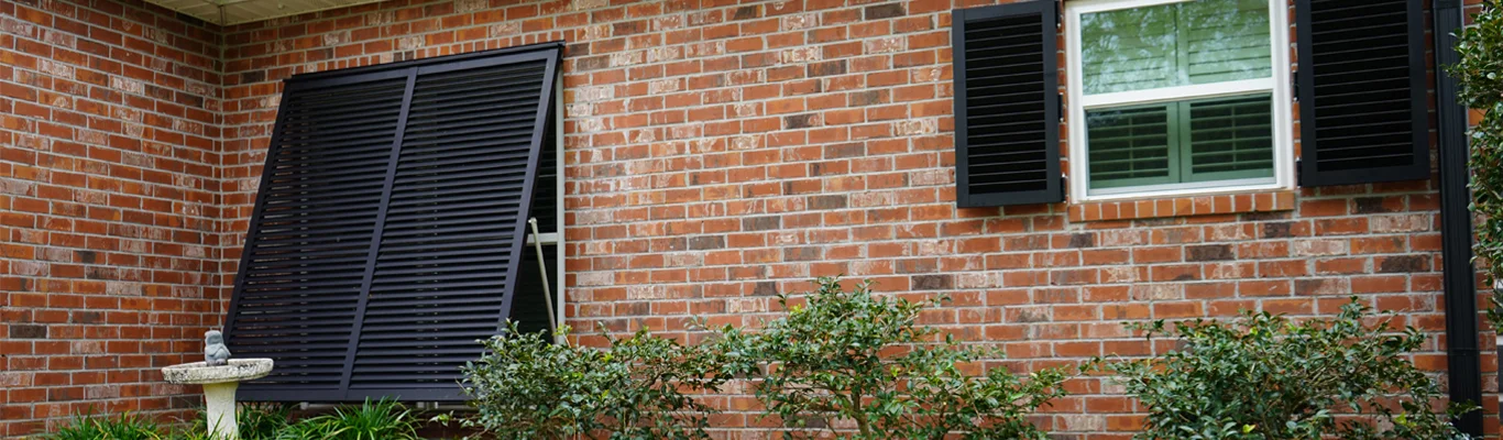 Window